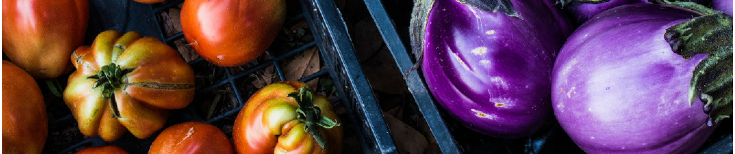 Tomatoes & Eggplant