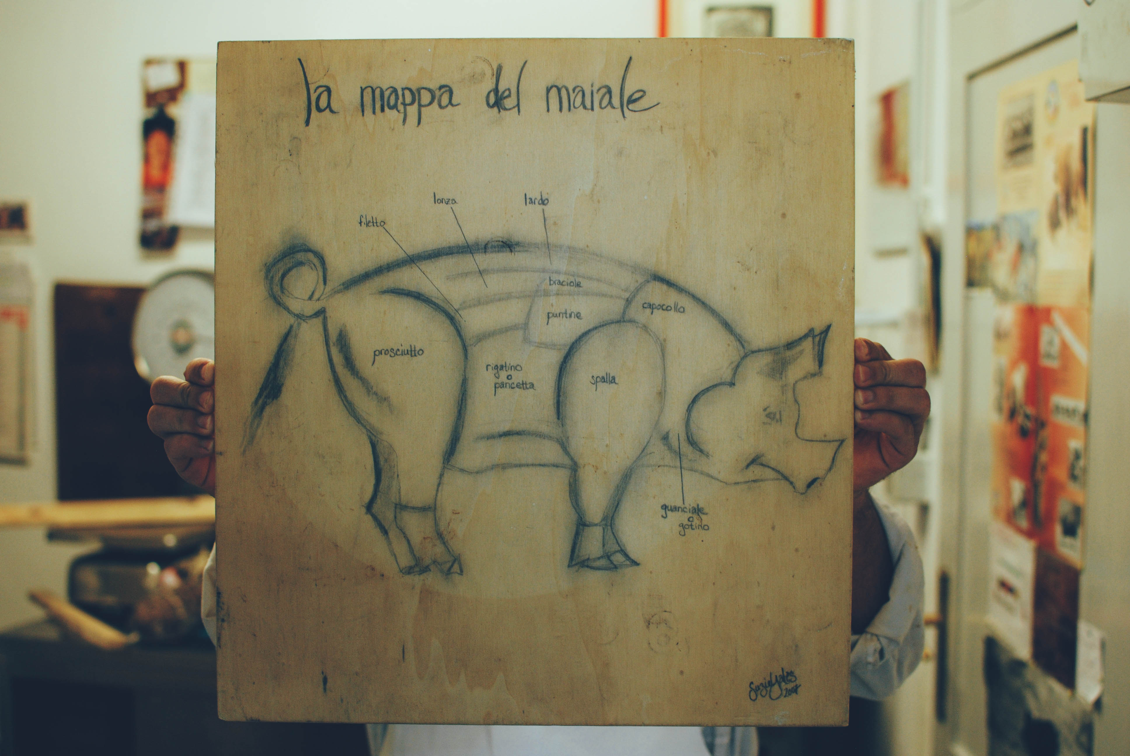 Diagram of where meat comes from on a pig