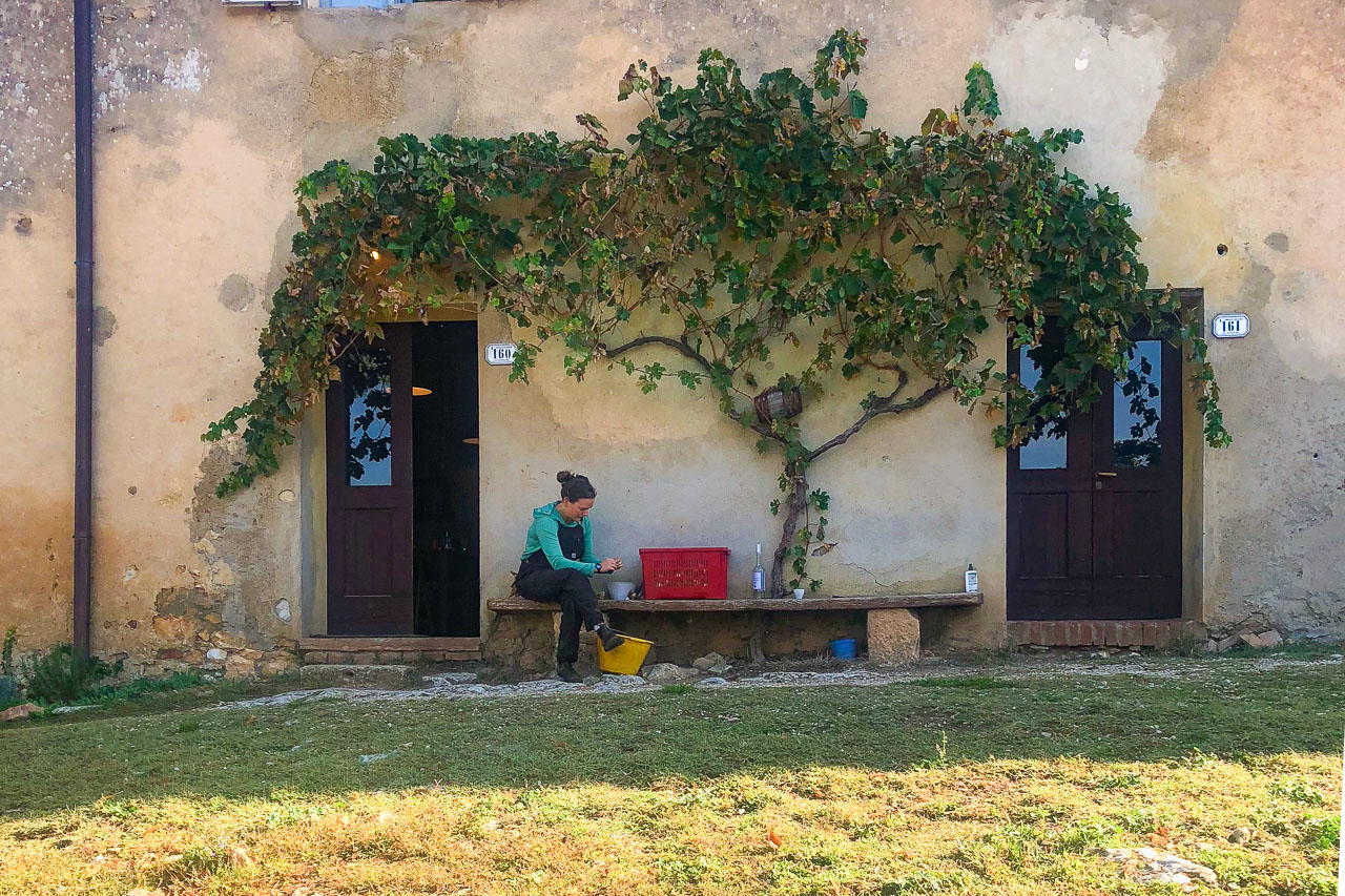Farm intern sitting in front of Casa Pulcinelli under vines.