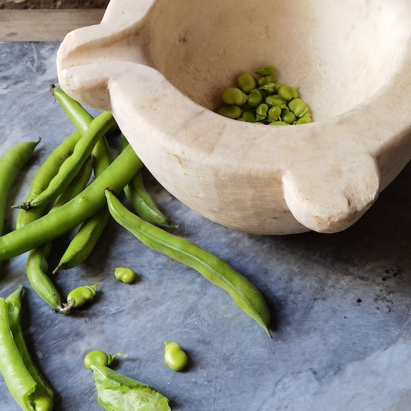 Fava Bean Pesto