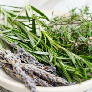 Close-up photo of herbs