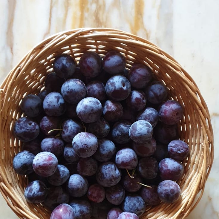 Plum Cake