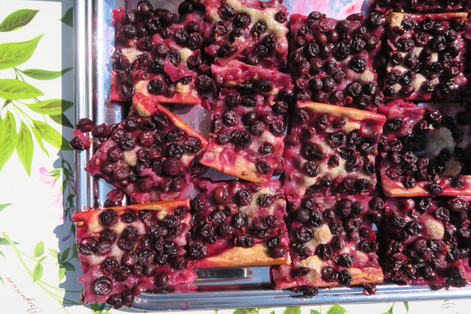 Slices of schiacciata con uva (sweet focaccia-style bread, topped with grapes)