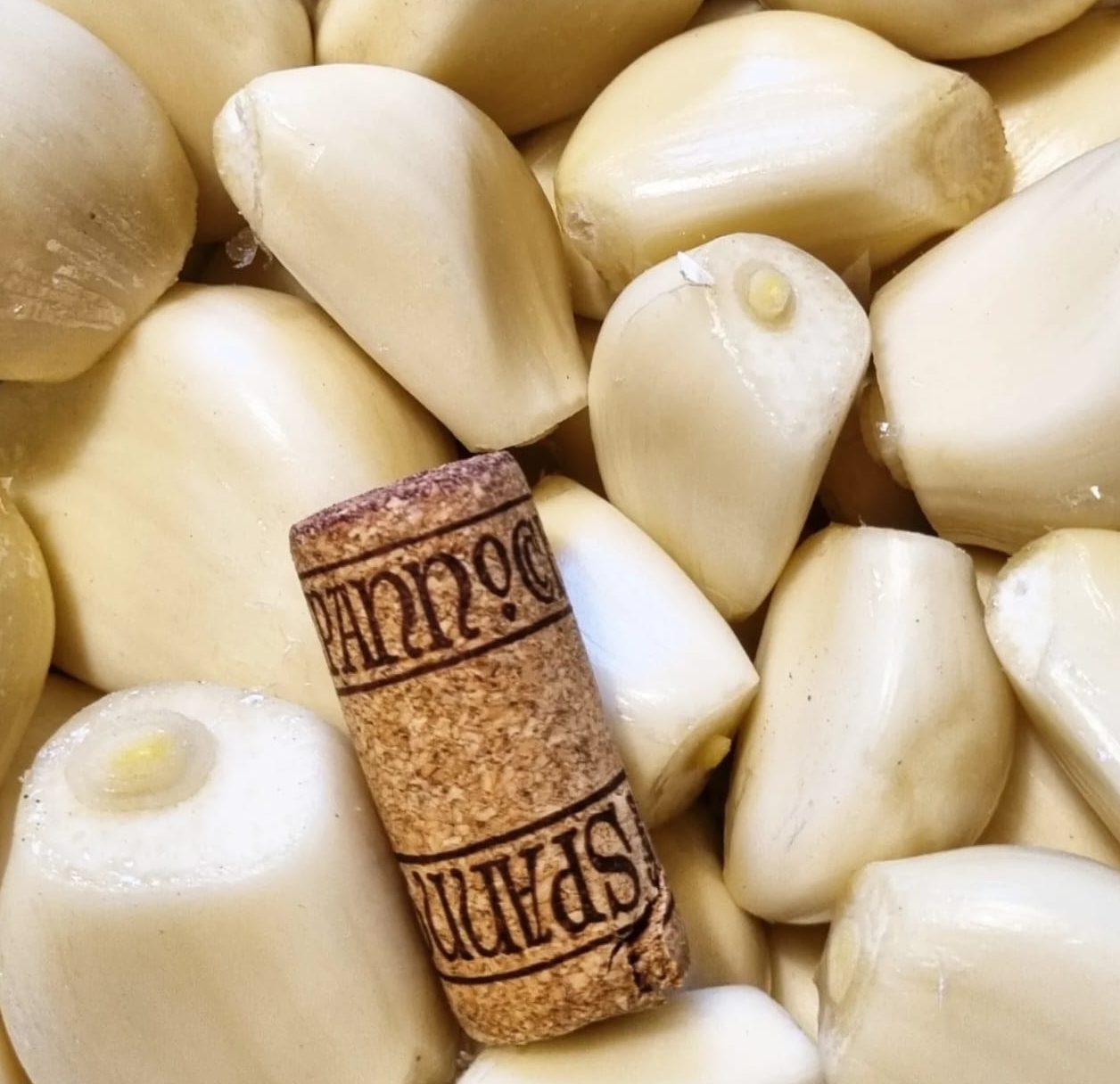 Aglione (Elephant Garlic) with wine cork for scale