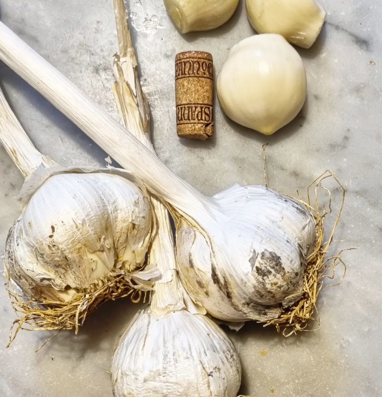 Aglione garlic with a wine cork for scale