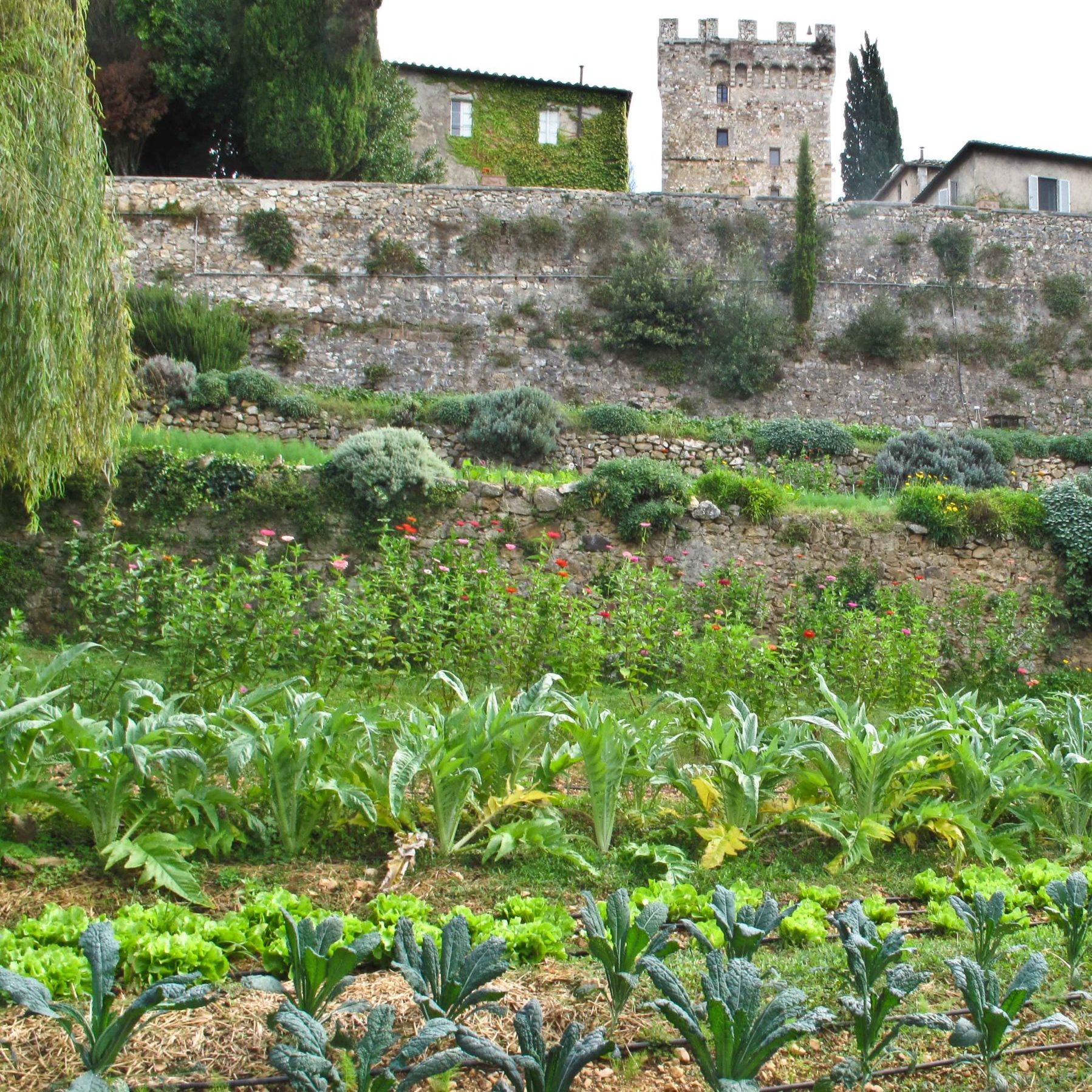 Spannocchia garden