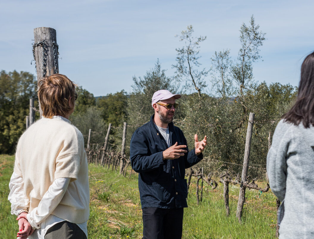 A group of people standing in conversation in a vineyard.