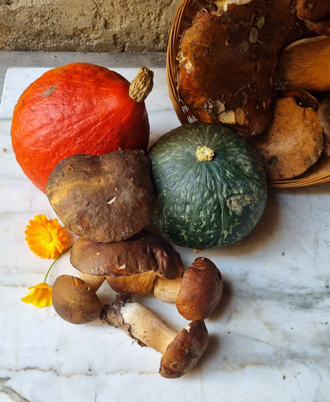 A large pumpkin still on the vine, in a field