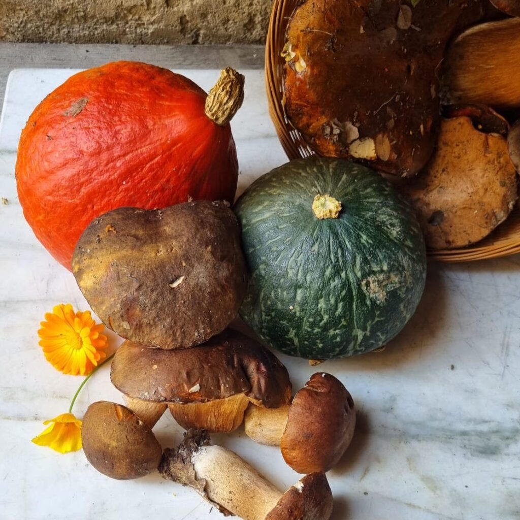 Two colorful winter squash and wild mushrooms on a marble tabletop