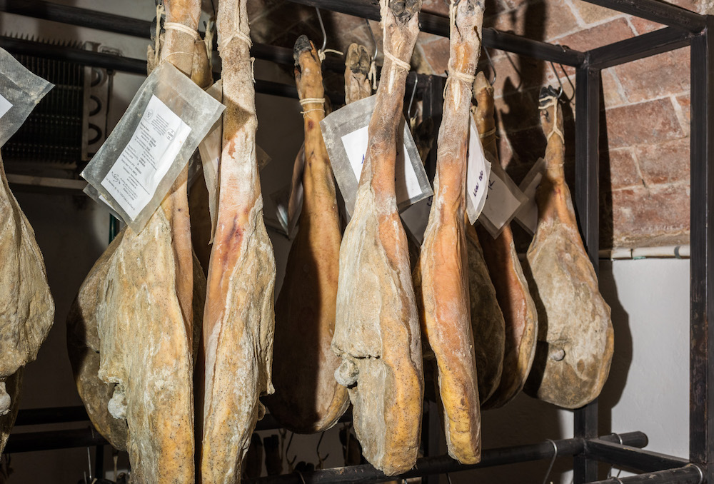 Prosciutti hanging in the cellar