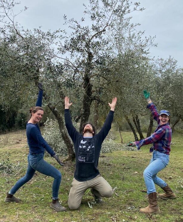Three alumni standing triumphantly in front of olive trees after pruning them.