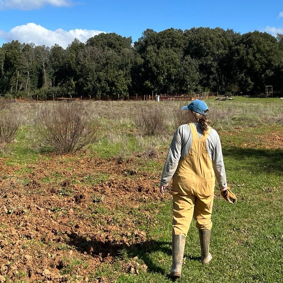 Photo of the back of an intern, as she walks in a field with work clothes on.