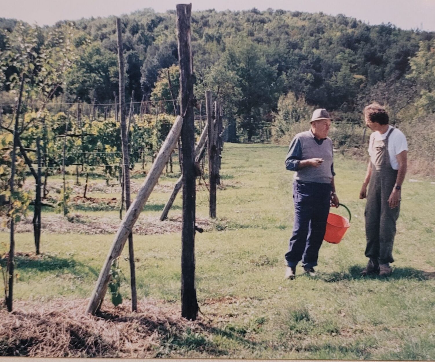 An old photograph of two men, Tergo and Randall, standing alongside a vineyard in conversation.