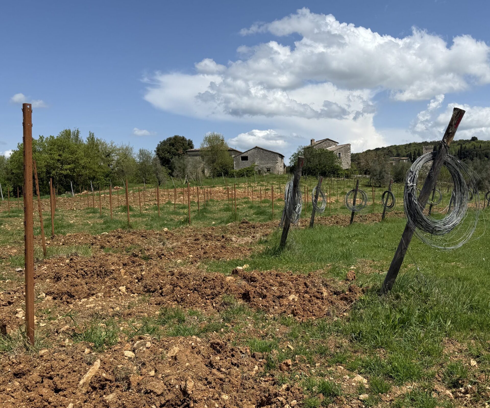 A field of rich brown soil and grass with vineyard posts throughout. Old farmhouses and a blue sky with white puffy clouds are in the background.