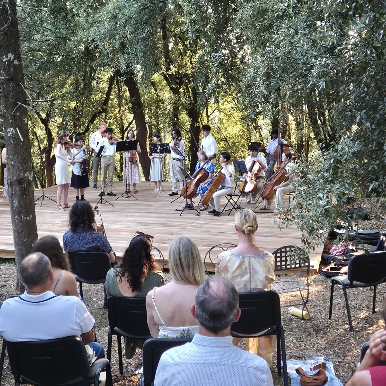 A photo of people standing on a wooden platform outside, surrounded by trees. They are playing string instruments as part of a chamber music concert. The backs of the audience are in the foreground.