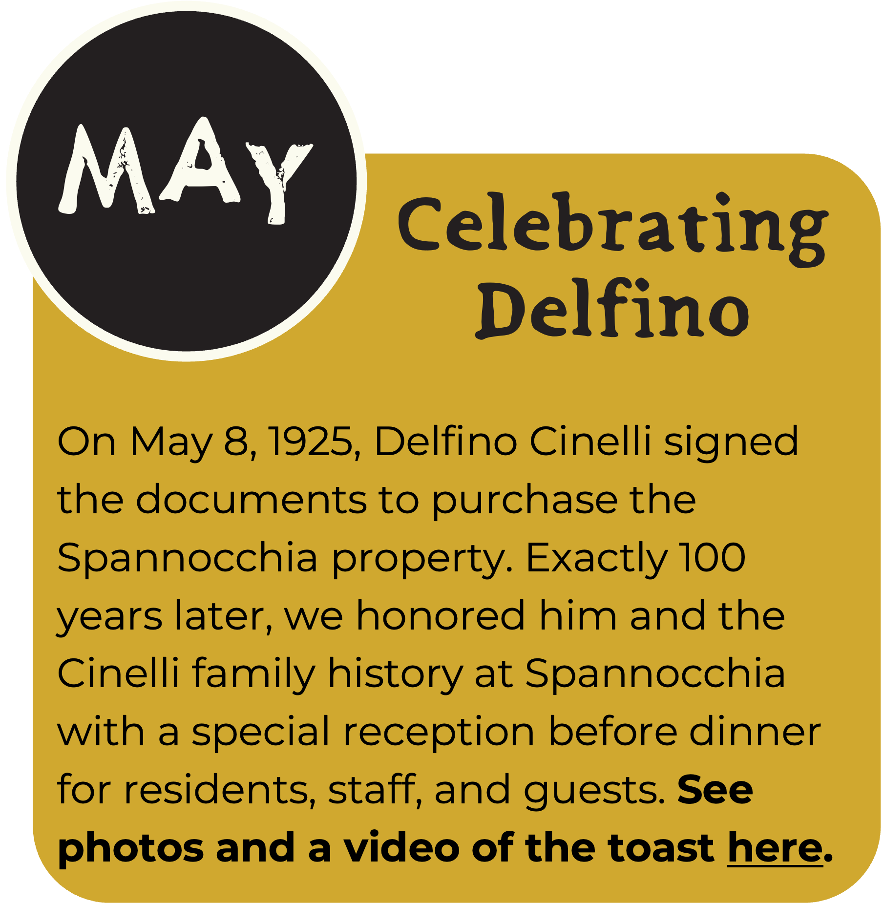 An ochre box with text describing the May event: celebrating Delfino and 100 years of the Cinelli family owning Spannocchia! A smaller black circle with the word "May" is in the top left corner.